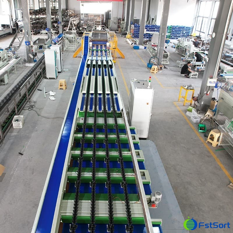 images/1676883736475pear sorting line.jpg